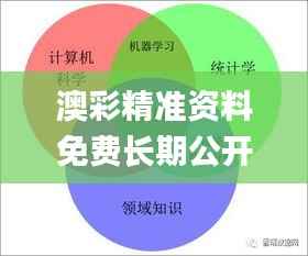 澳彩精准资料免费长期公开,统计分析解释定义_macOS7.706