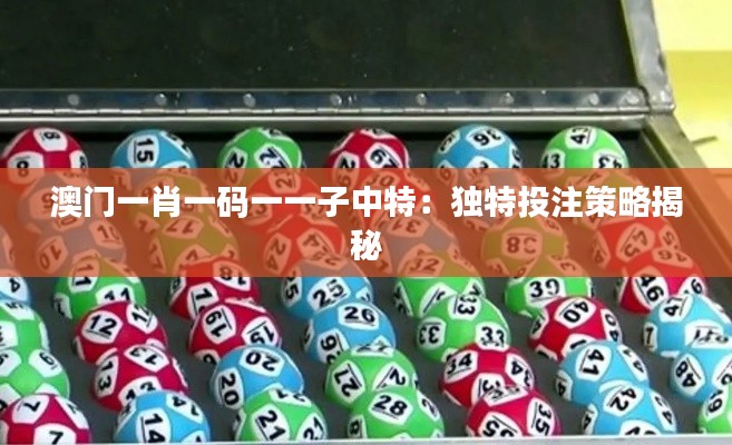 澳门一肖一码一一子中特：独特投注策略揭秘