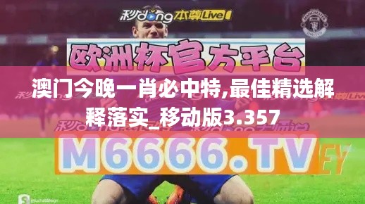 澳门今晚一肖必中特,最佳精选解释落实_移动版3.357