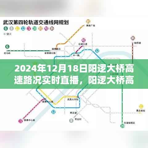 五光十色 第3页