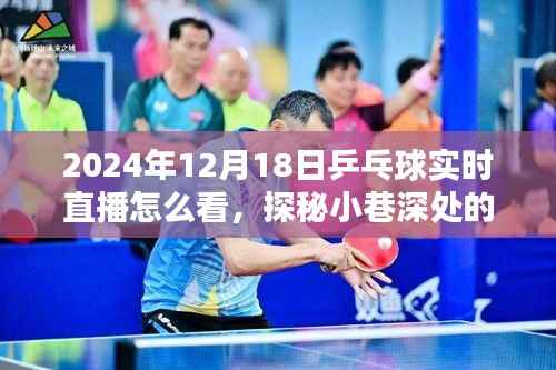 探秘乒乓盛宴,2024年12月18日乒乓球直播的独特观赛体验与小巷深处的乒乓激情