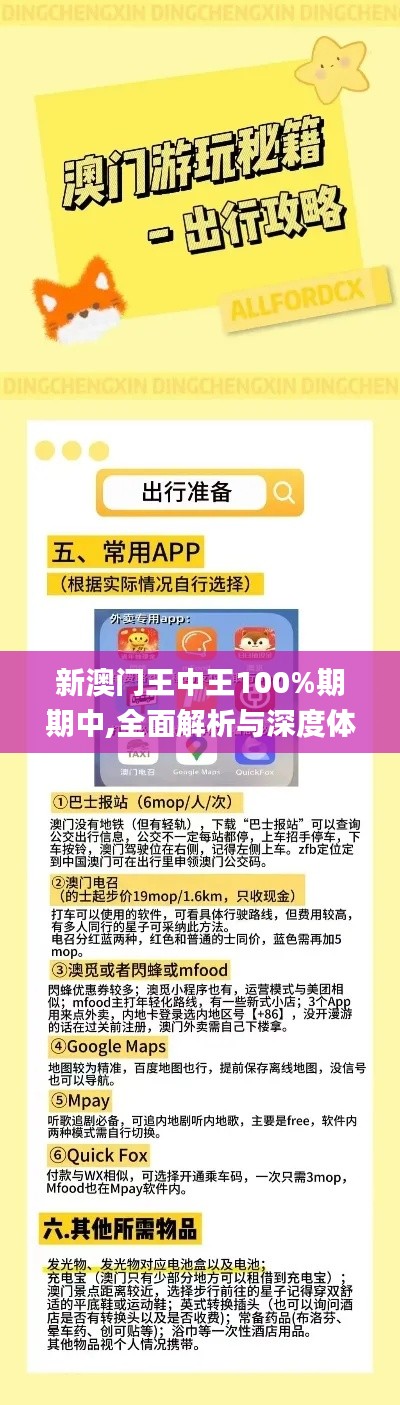 新澳门王中王100%期期中,全面解析与深度体验_静态版110.296