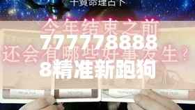 7777788888精准新跑狗:解码高效狗类赛事竞技秘诀