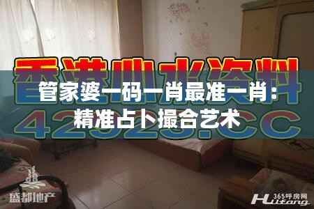 管家婆一码一肖最准一肖:精准占卜撮合艺术