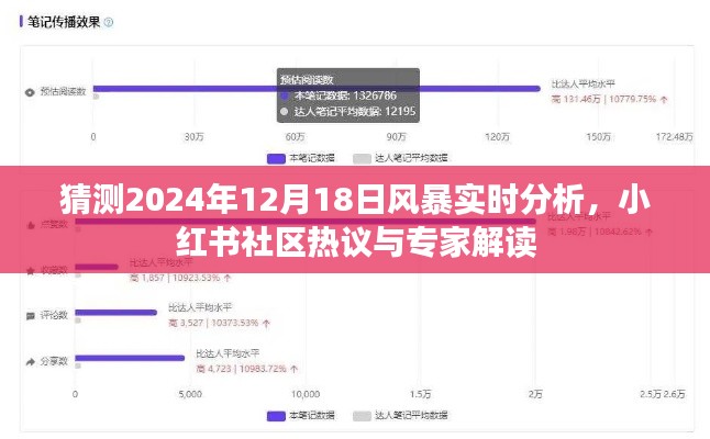 小红书热议揭秘,2024年风暴实时分析专家解读来袭!