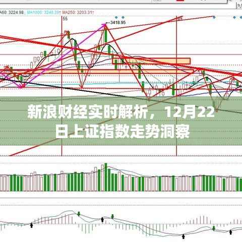 新浪财经实时解析,揭秘上证指数走势洞察,洞悉市场动向