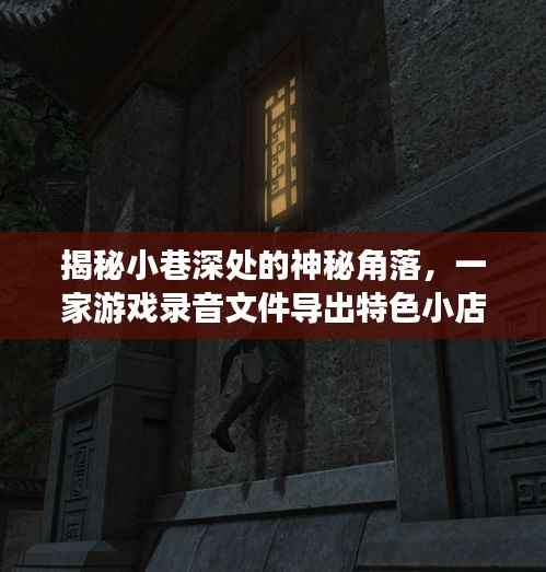 探索小巷深处的游戏录音文件导出小店,神秘角落的揭秘之旅