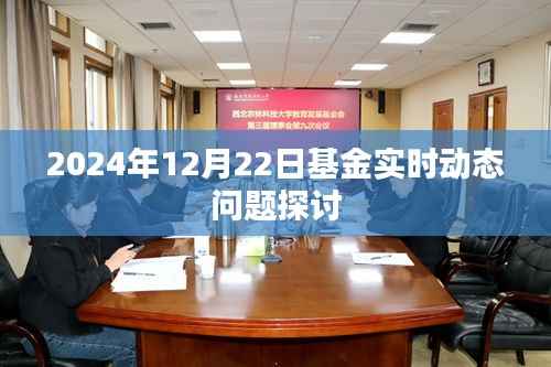 基金实时动态探讨,聚焦2024年12月22日最新动态