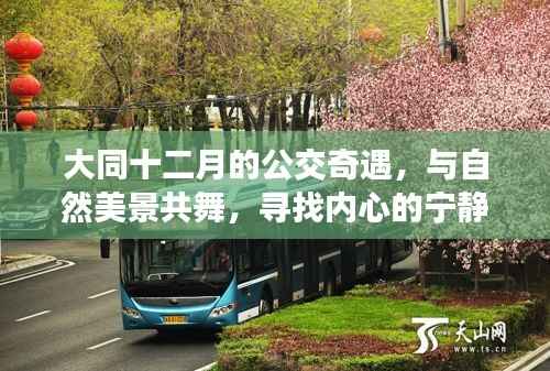 大同十二月公交之旅,与自然美景共舞,探寻内心宁静与平和