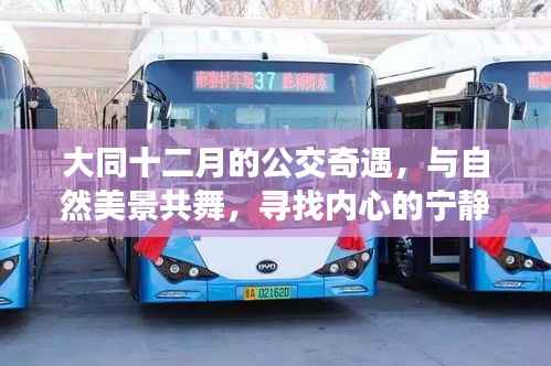 大同十二月公交之旅,与自然美景共舞,探寻内心宁静与平和