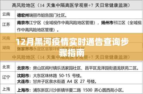黑河疫情实时通告查询指南,12月最新步骤详解