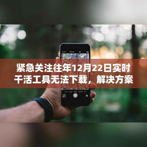 紧急应对,往年12月22日实时干活工具下载故障解决方案与替代选择指南!