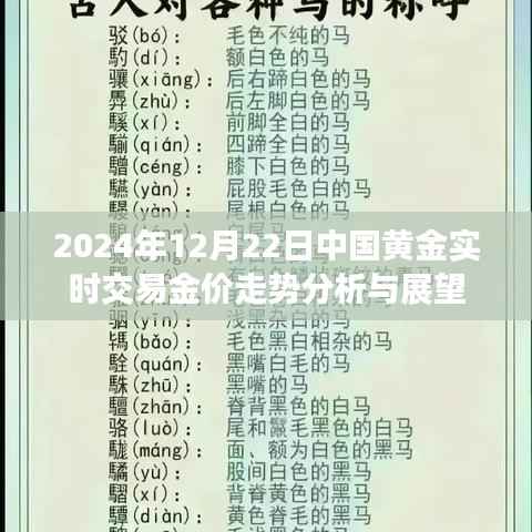 2024年12月22日中国黄金实时交易走势分析与展望,金价走势预测