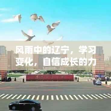 风雨辽宁,学习成长的力量与自信之路