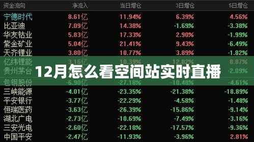 空间站实时直播观看指南,如何观看十二月空间站直播?