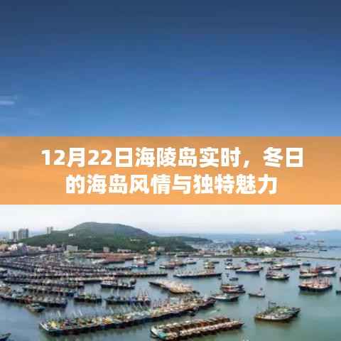 冬日海陵岛风情与魅力实时播报