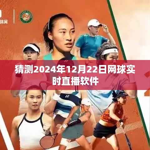 预测,2024年网球直播软件实时观看体验分享