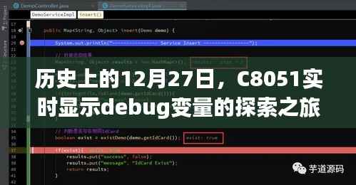 C8051实时调试,探索Debug变量的历史之旅