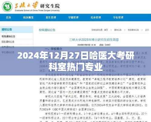 哈医大考研科室热门专业解析(2024年)