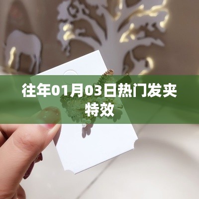 第1308页