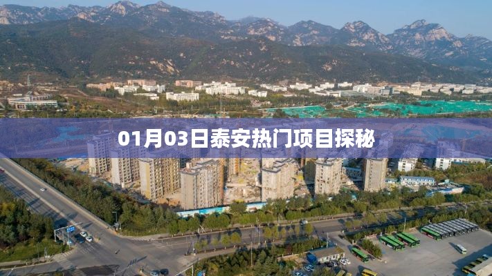 教育资讯 第317页