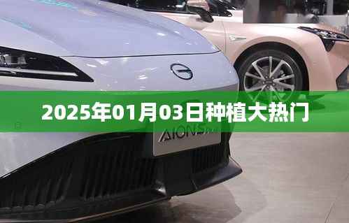 2025年种植热潮,热门植物趋势展望