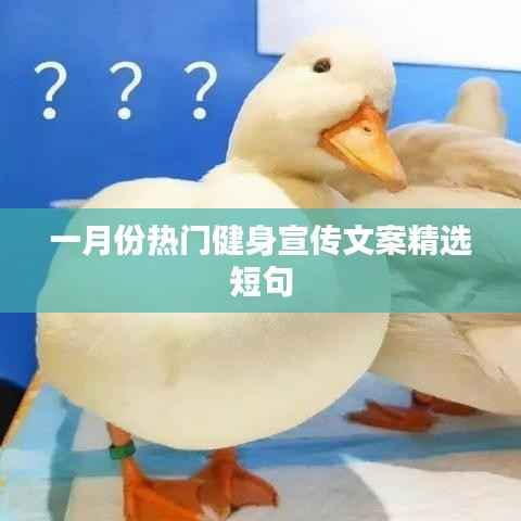 一月份健身宣传文案精选短句,激发你的运动热情