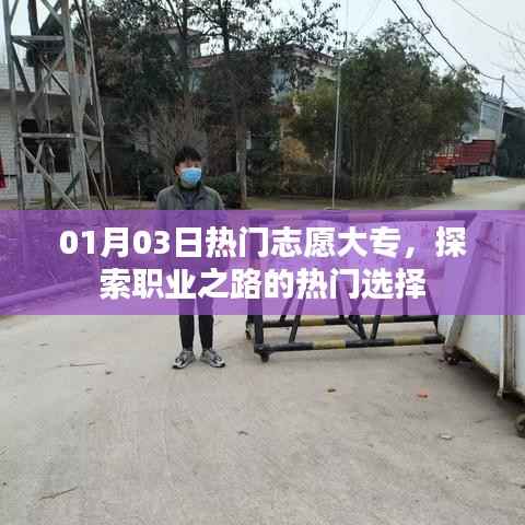 热门志愿大专,探索职业之路首选