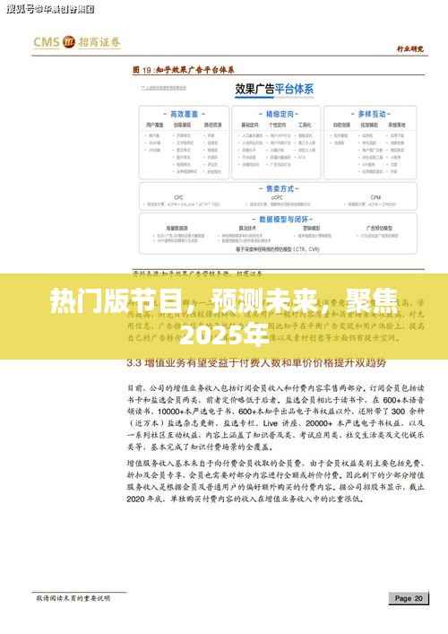 热门节目展望，聚焦未来2025年预测