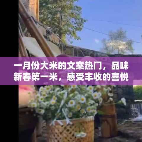 新春第一米,品味丰收喜悦,一月份大米文案精选
