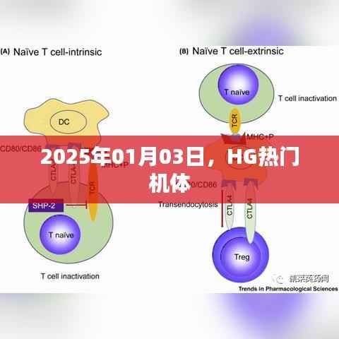 HG热门机体，揭秘未来机体趋势预测（最新资讯）