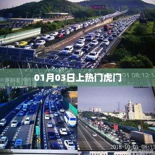 虎门事件揭秘,热门背后的故事 01月03日