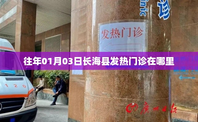 长海县发热门诊往年位置信息,01月03日就诊地点揭秘