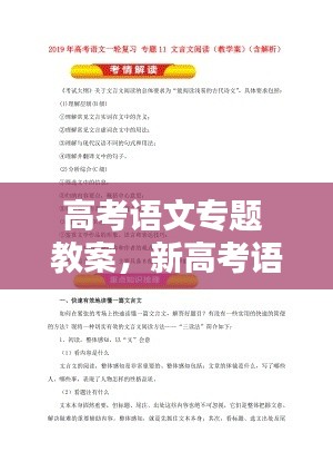 高考语文专题 教案,新高考语文教案