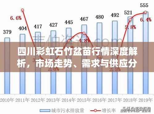 四川彩虹石竹盆苗行情深度解析,市场走势、需求与供应分析