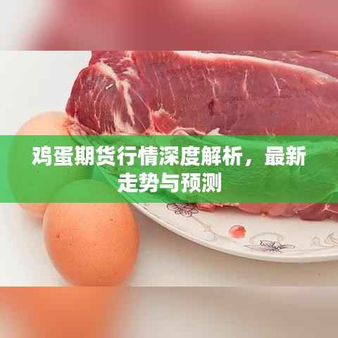鸡蛋期货行情深度解析,最新走势与预测