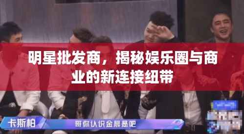 明星批发商,揭秘娱乐圈与商业的新连接纽带