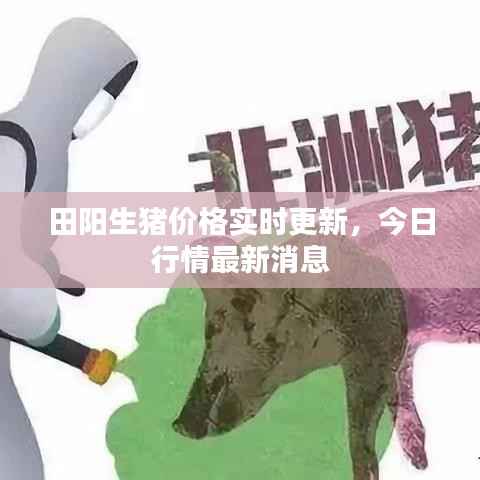 田阳生猪价格实时更新,今日行情最新消息