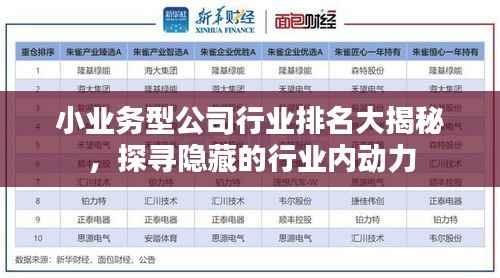 小业务型公司行业排名大揭秘,探寻隐藏的行业内动力