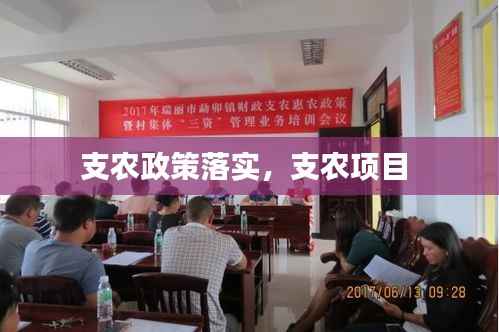 支农政策落实,支农项目