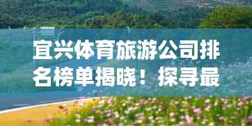 宜兴体育旅游公司排名榜单揭晓!探寻最佳旅游体验公司
