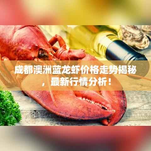 成都澳洲蓝龙虾价格走势揭秘,最新行情分析!