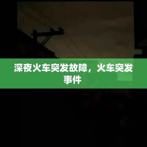 惊弦之鸟 第3页