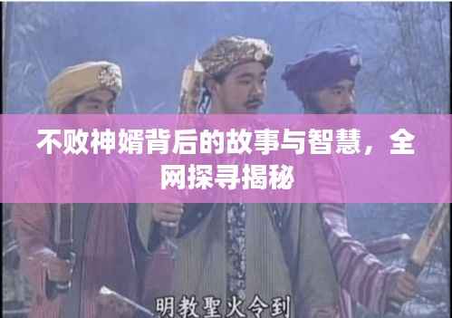 不败神婿背后的故事与智慧,全网探寻揭秘