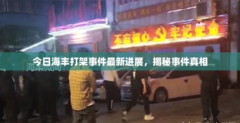 今日海丰打架事件最新进展,揭秘事件真相