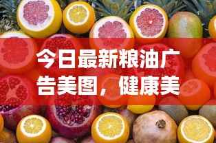 今日最新粮油广告美图,健康美食风尚大赏