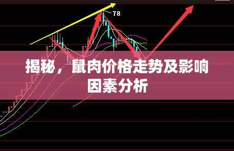 揭秘,鼠肉价格走势及影响因素分析
