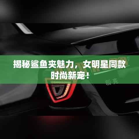 揭秘鲨鱼夹魅力,女明星同款时尚新宠!
