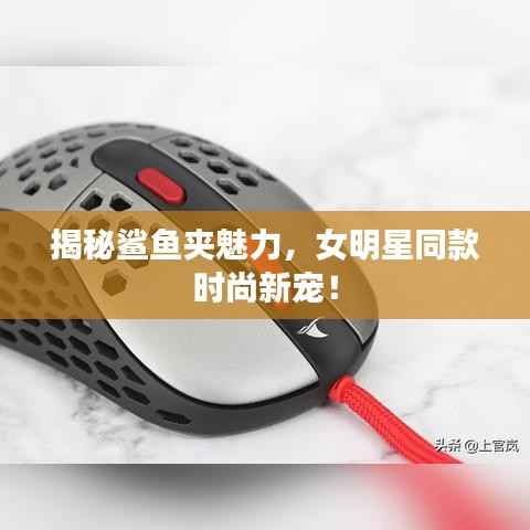 揭秘鲨鱼夹魅力,女明星同款时尚新宠!