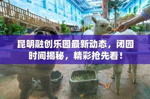 昆明融创乐园最新动态,闭园时间揭秘,精彩抢先看!